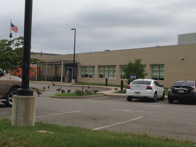 Union County Juvenile Detention Center located in Linden NJ (New Jersey) 4